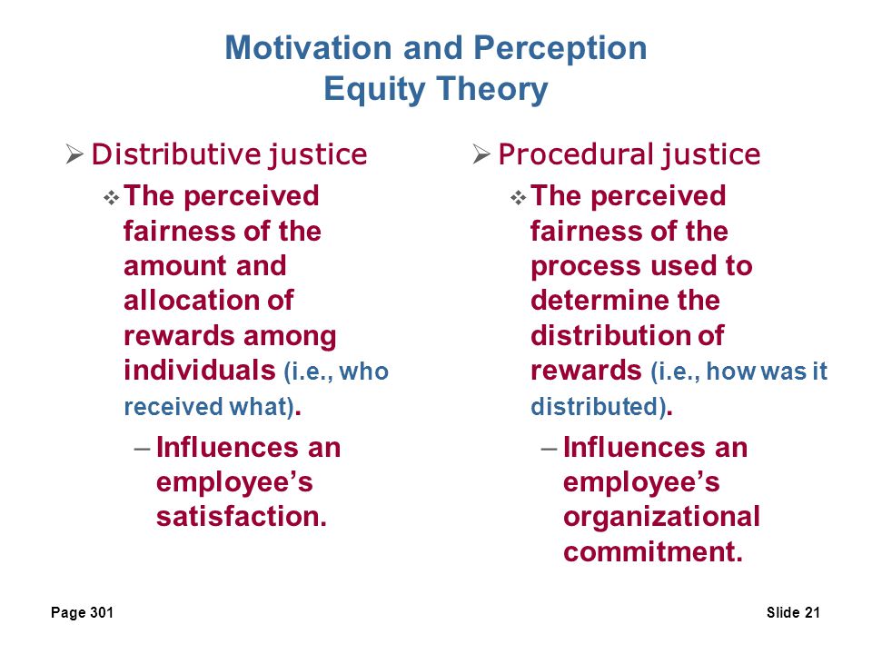 Motivation and Perception Equity Theory