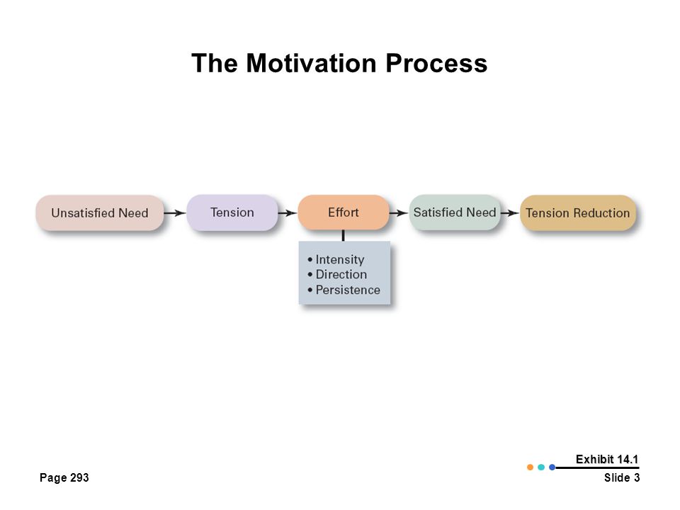 The Motivation Process