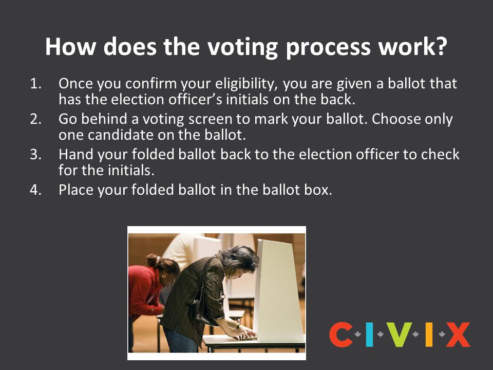How does the voting process work