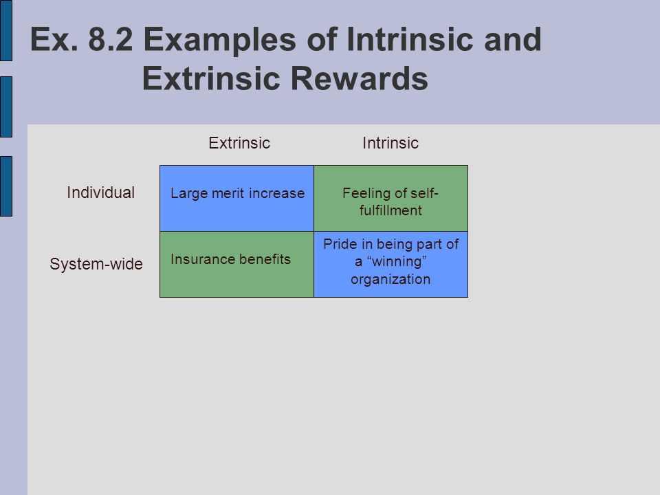 Ex. 8.2 Examples of Intrinsic and Extrinsic Rewards