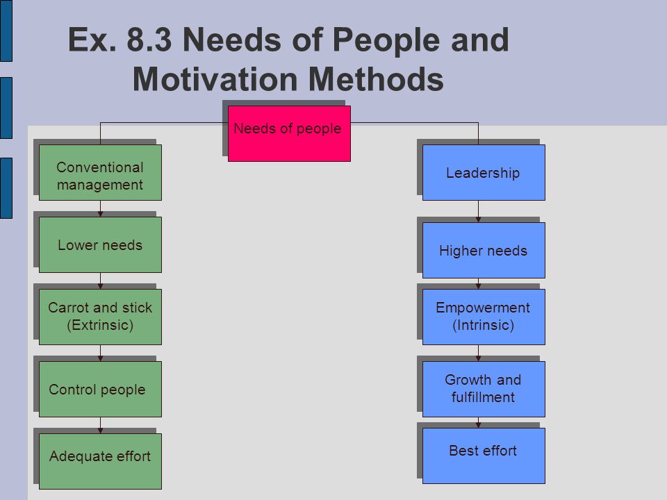Ex. 8.3 Needs of People and Motivation Methods