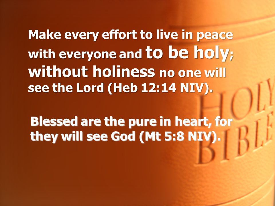 Make every effort to live in peace with everyone and to be holy; without holiness no one will see the Lord (Heb 12:14 NIV).