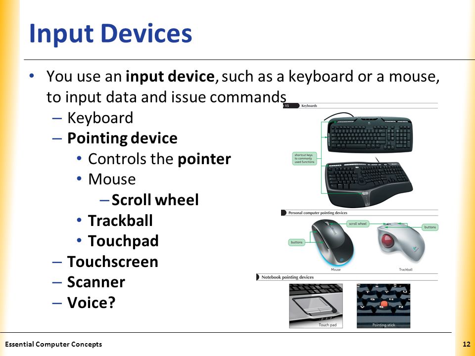 Input Devices You use an input device, such as a keyboard or a mouse, to input data and issue commands.