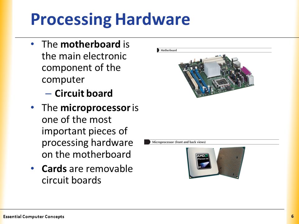 Processing Hardware The motherboard is the main electronic component of the computer. Circuit board.