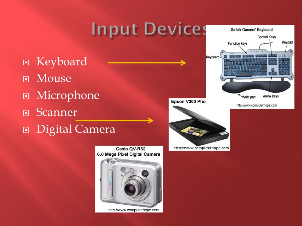 Input Devices Keyboard Mouse Microphone Scanner Digital Camera