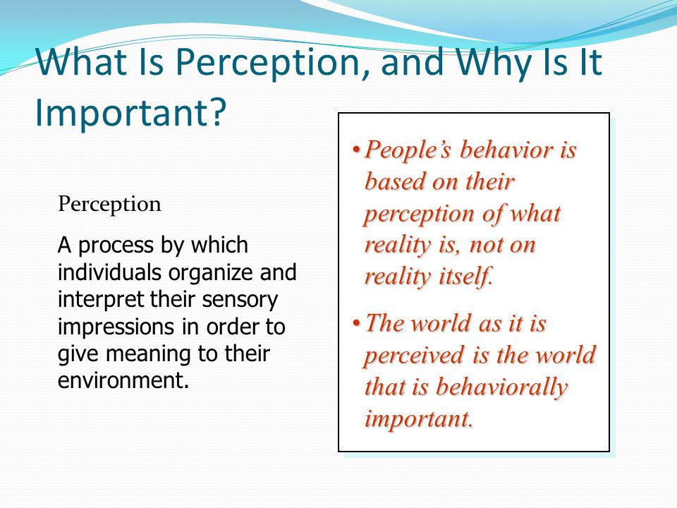 what is the importance of perception