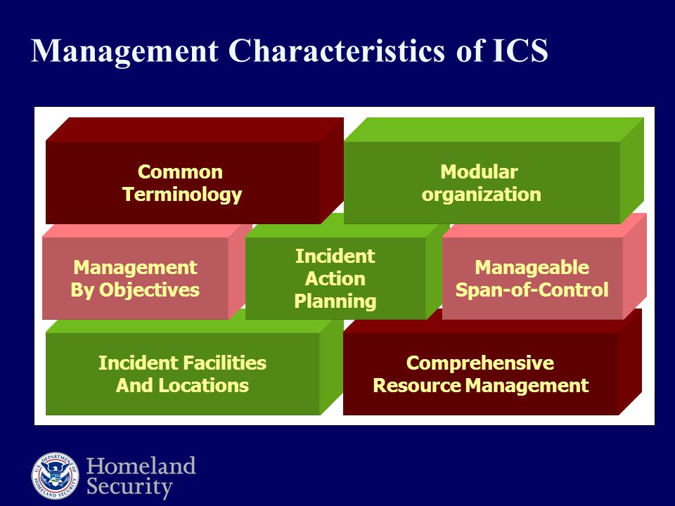 Management Characteristics of ICS