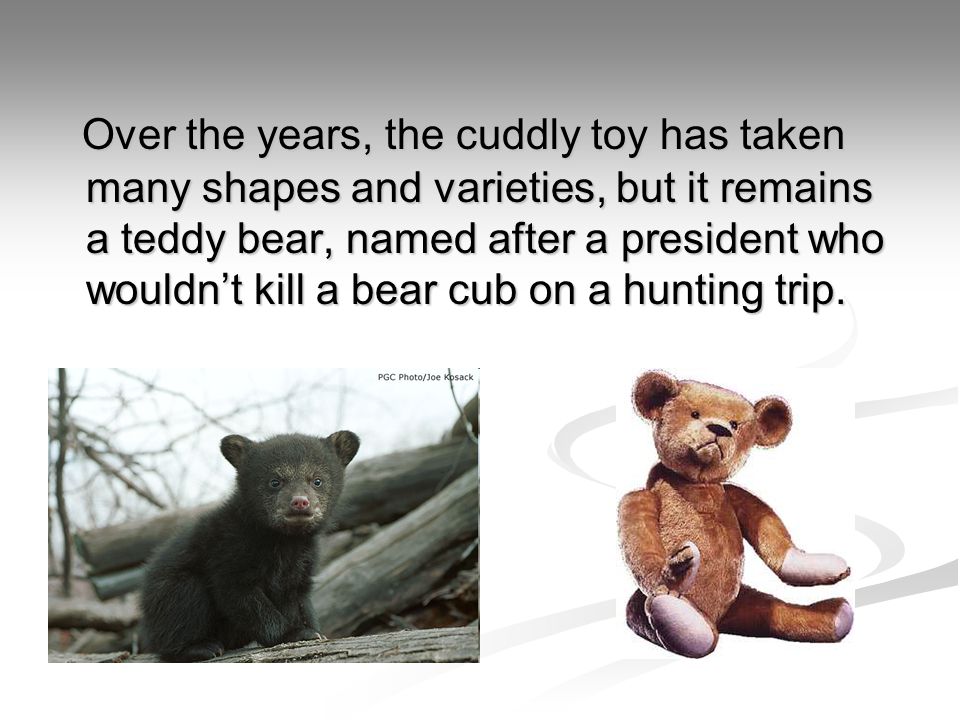teddy bear named after president