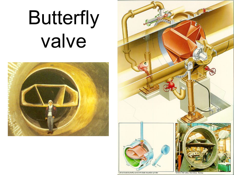 Butterfly valve