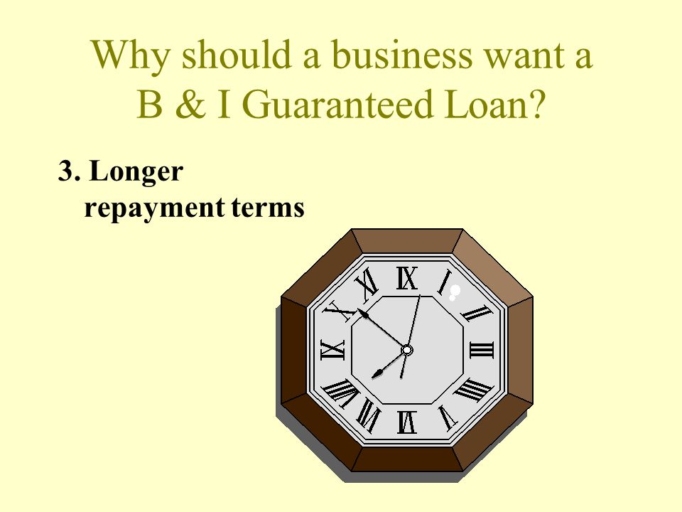 Why should a business want a B & I Guaranteed Loan