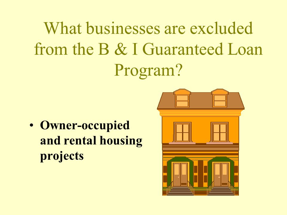 What businesses are excluded from the B & I Guaranteed Loan Program