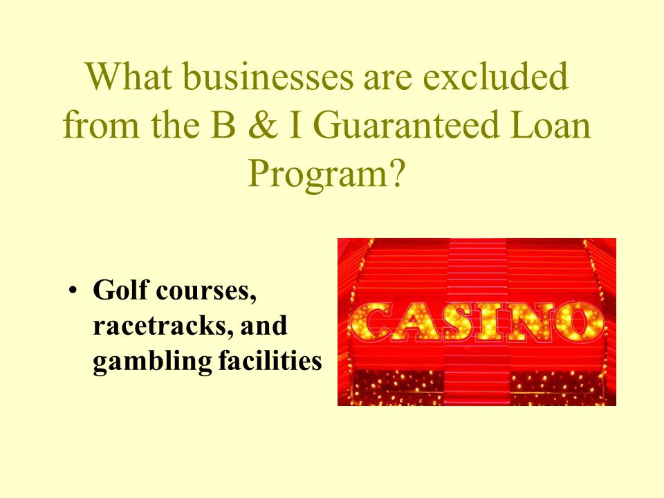 What businesses are excluded from the B & I Guaranteed Loan Program