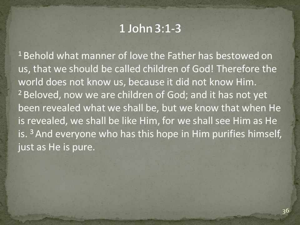 1 John 3:1-3