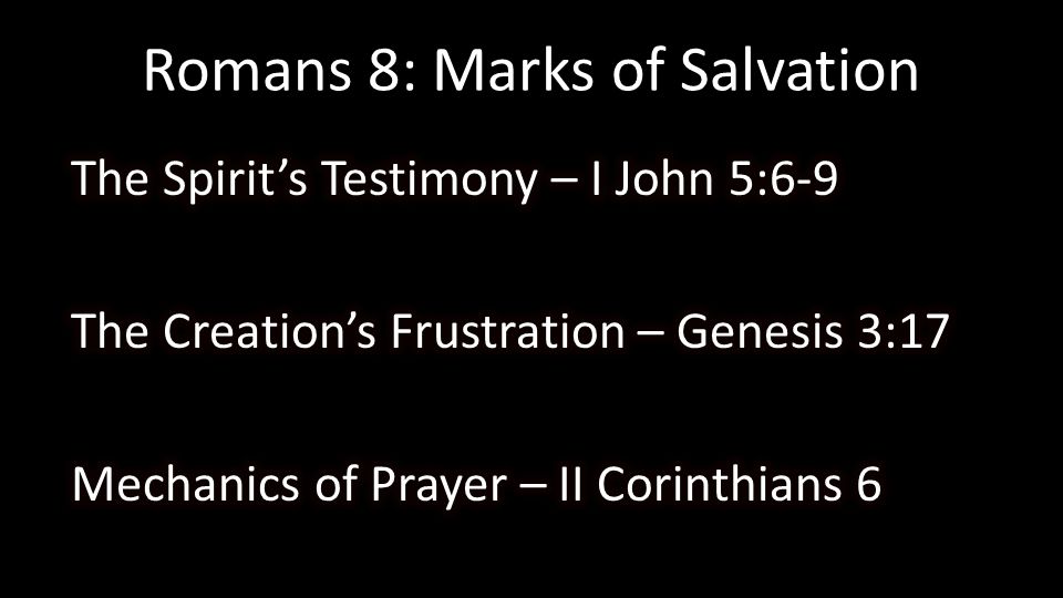 Romans 8: Marks of Salvation