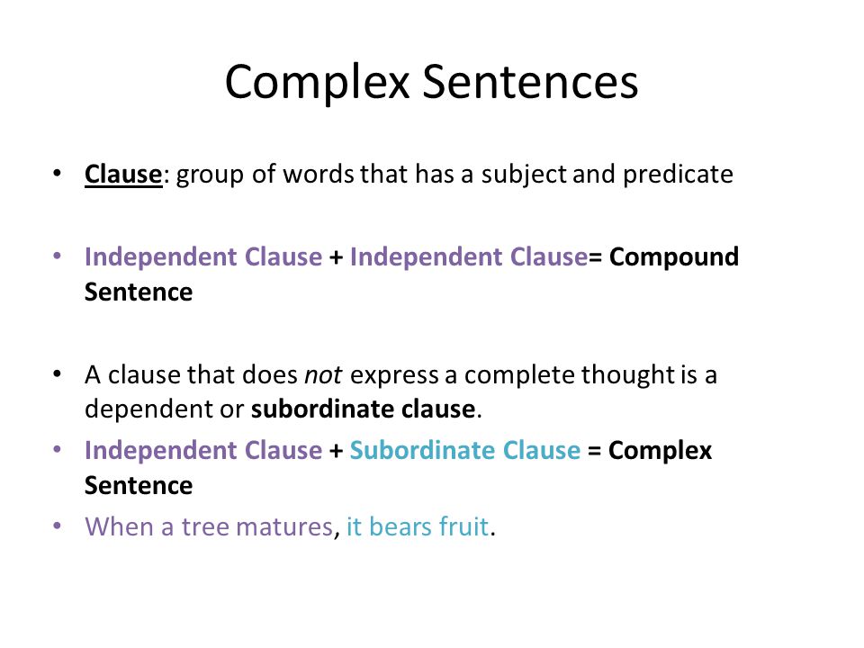 Complex Sentences Clause: group of words that has a subject and predicate. Independent Clause + Independent Clause= Compound Sentence.