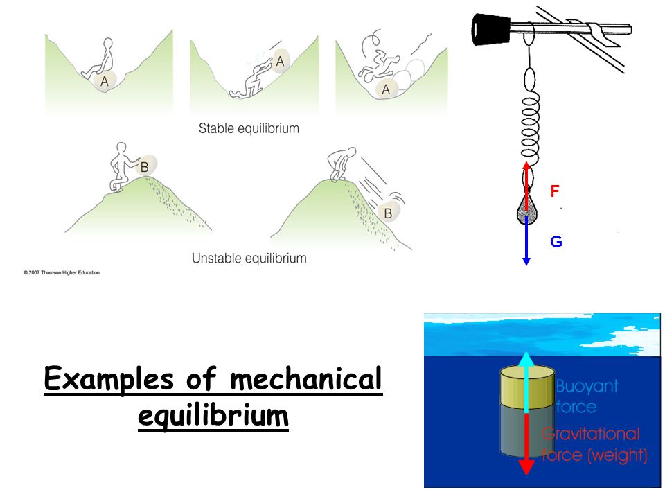 Examples of mechanical equilibrium