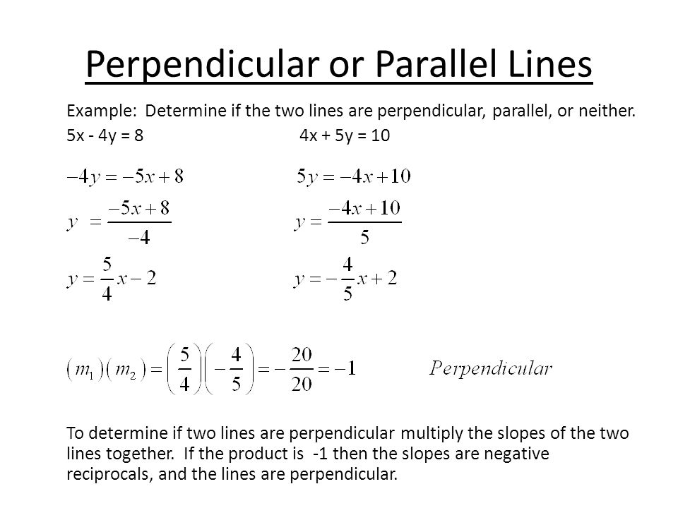 Perpendicular or Parallel Lines