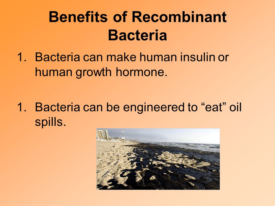 Benefits of Recombinant Bacteria