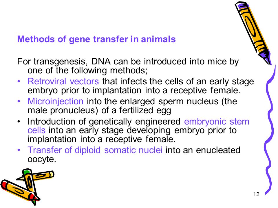 Animal biotechnology lecture 2 - ppt download