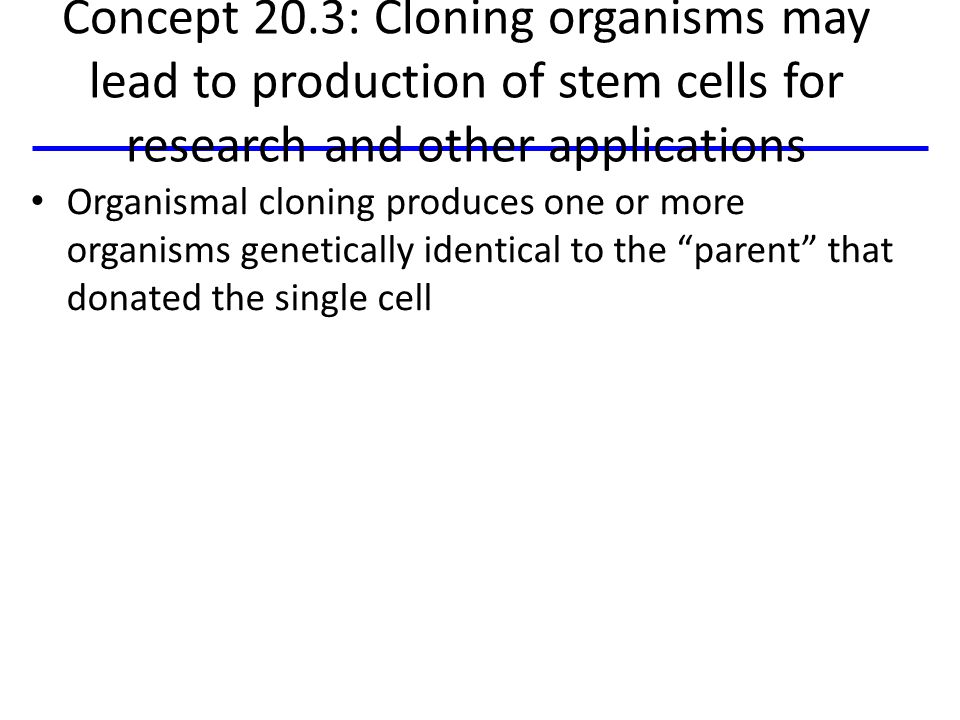 Concept 20.3: Cloning organisms may lead to production of stem cells for research and other applications