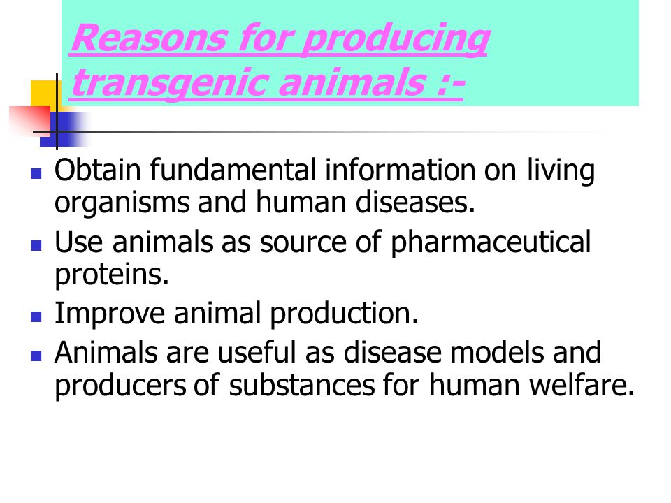 PRODUCTION OF THERAPEUTICS FROM TRANSGENIC ANIMALS - ppt video online  download