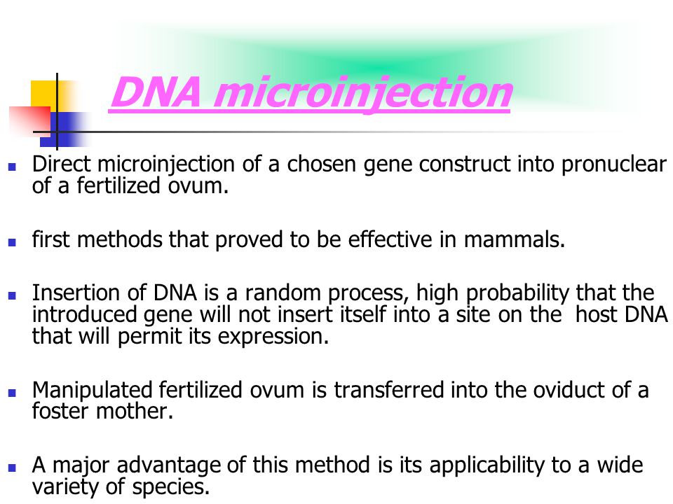 PRODUCTION OF THERAPEUTICS FROM TRANSGENIC ANIMALS - ppt video online  download