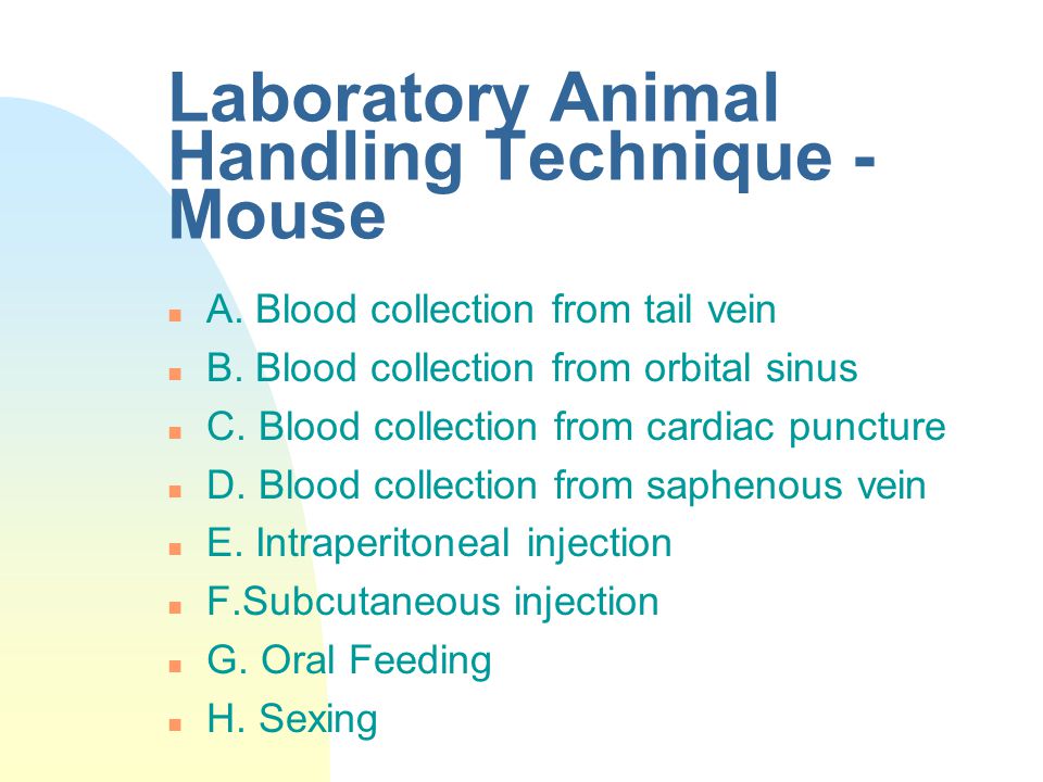 Laboratory Animal Handling Technique - ppt download