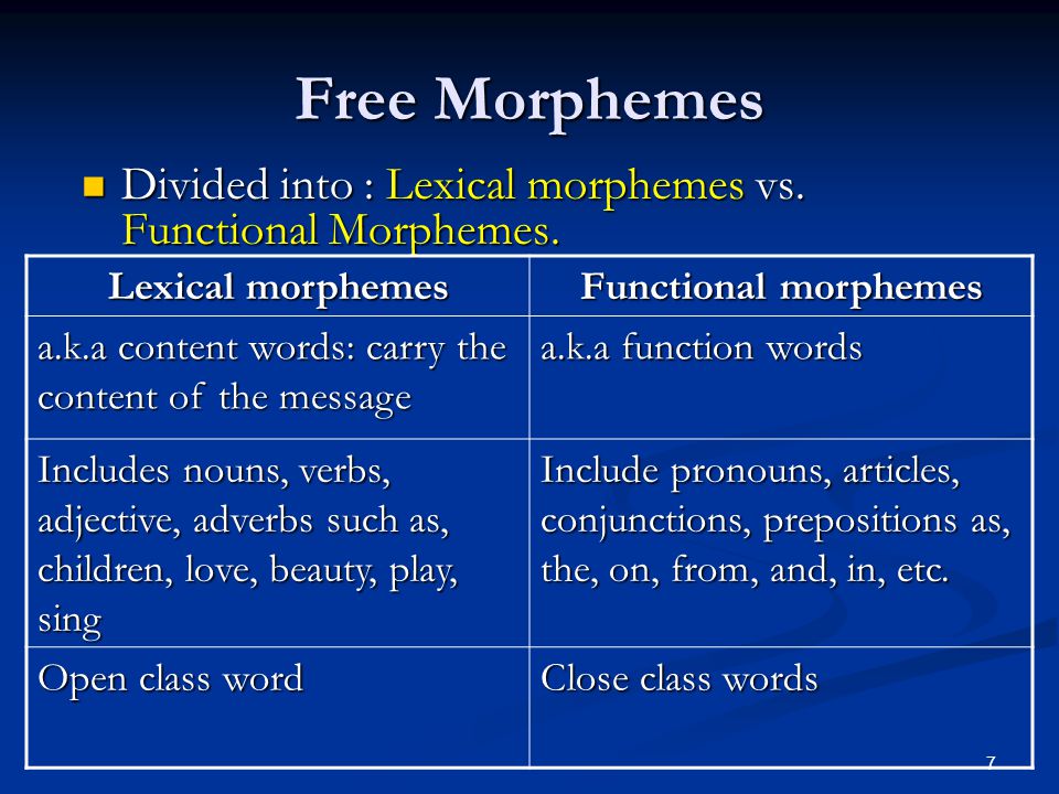 Morphology Chapter 7 Prepared By Alaa Al Mohammadi Ppt Video Online Download