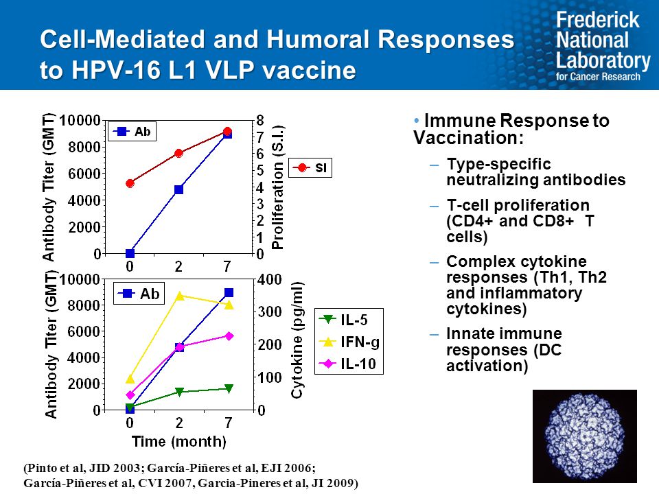 Cell-Mediated and Humoral Responses to HPV-16 L1 VLP vaccine