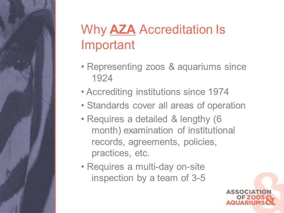 Accreditation A Thru Z For Institutions & Inspectors - ppt download