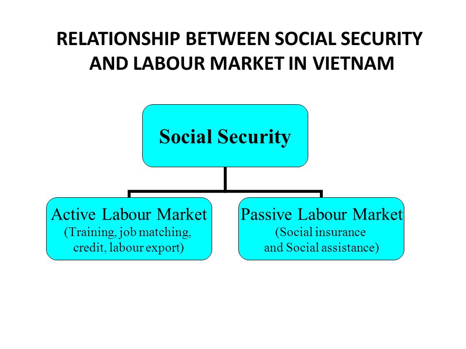 RELATIONSHIP BETWEEN SOCIAL SECURITY AND LABOUR MARKET IN VIETNAM