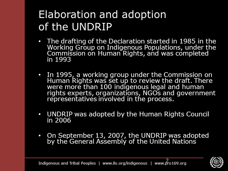 Elaboration and adoption of the UNDRIP