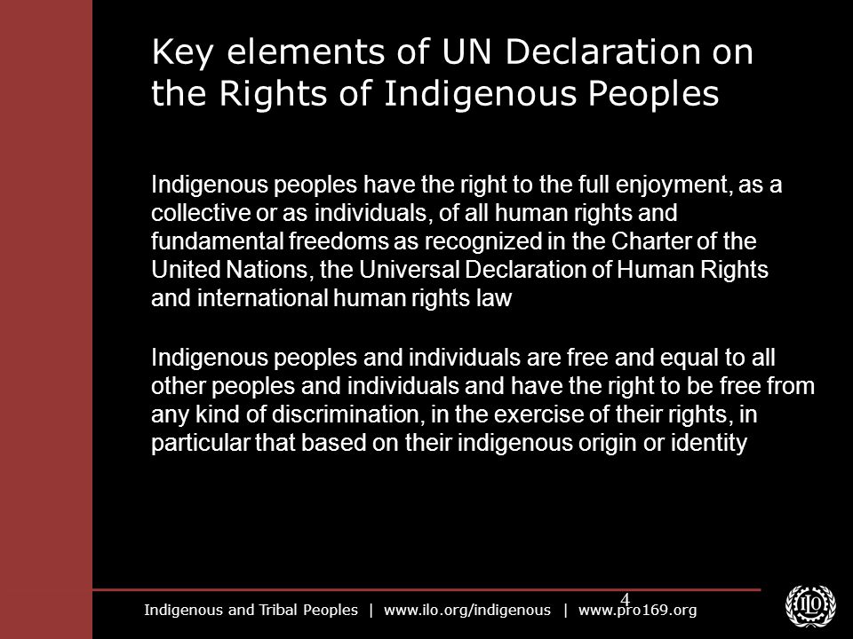 Key elements of UN Declaration on the Rights of Indigenous Peoples