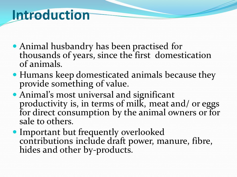 Animal Agriculture and Mankind - ppt download