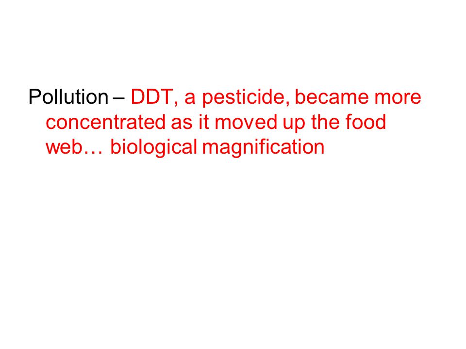 Pollution – DDT, a pesticide, became more concentrated as it moved up the food web… biological magnification