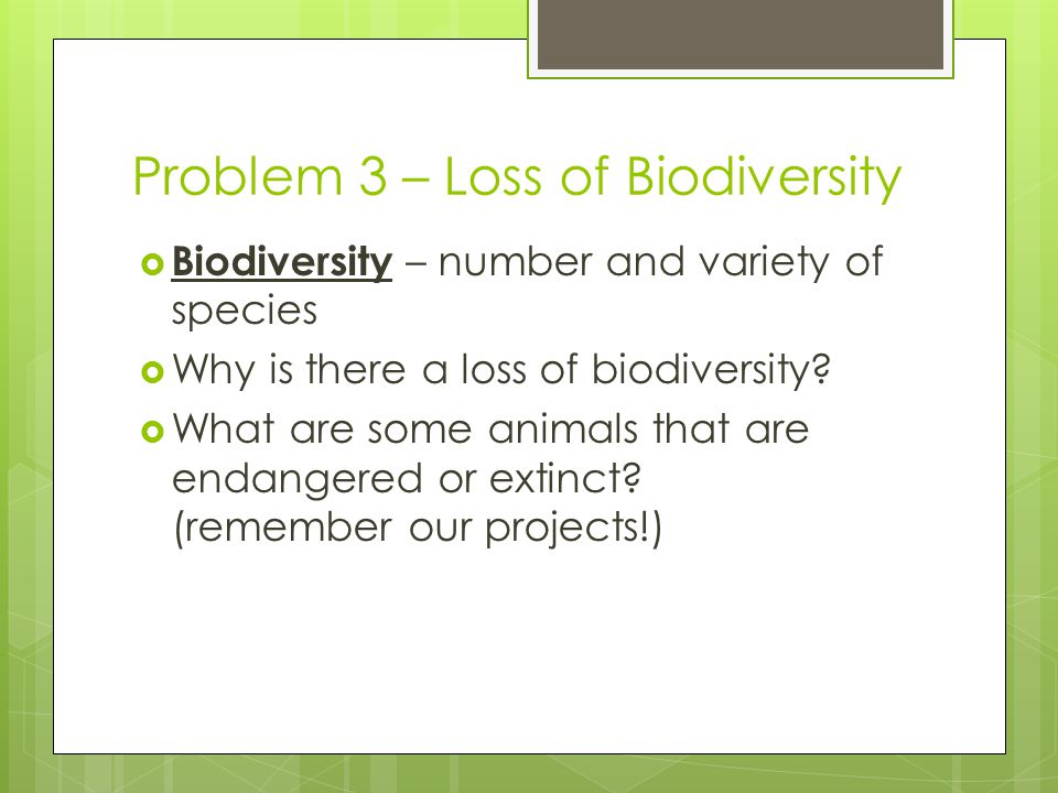 Problem 3 – Loss of Biodiversity