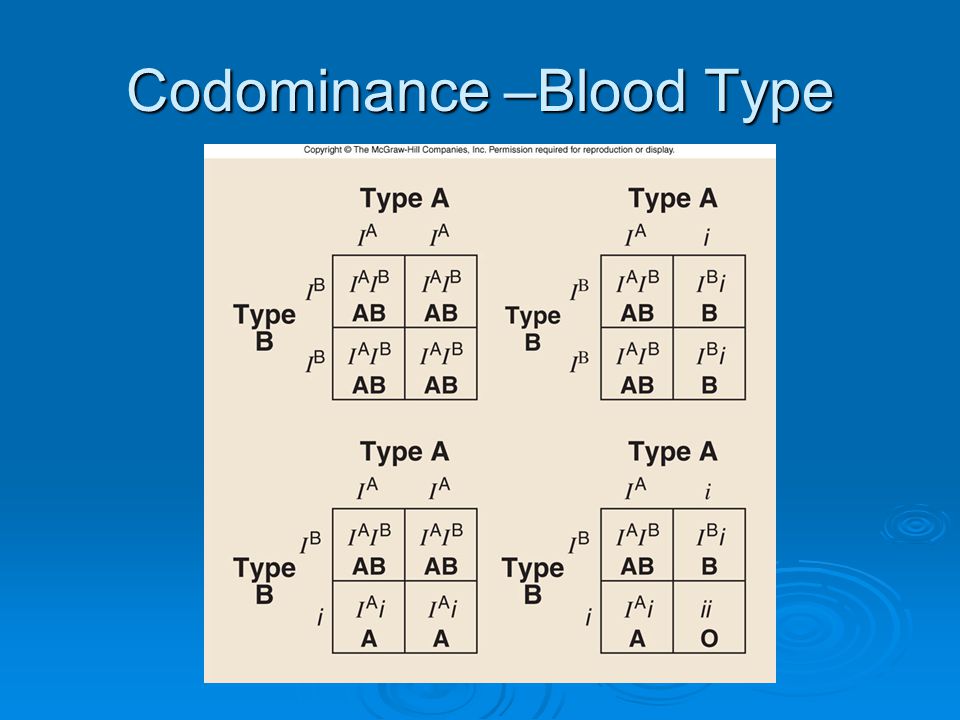 Codominance –Blood Type