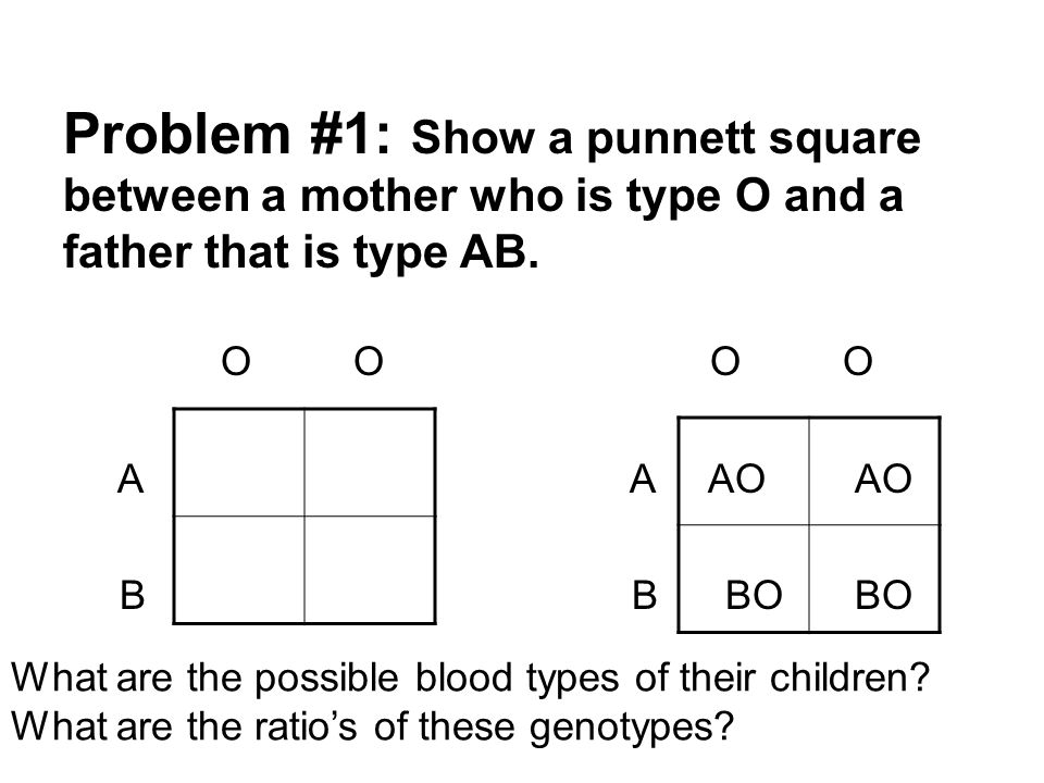 Genetics Notes Ppt Video Online Download