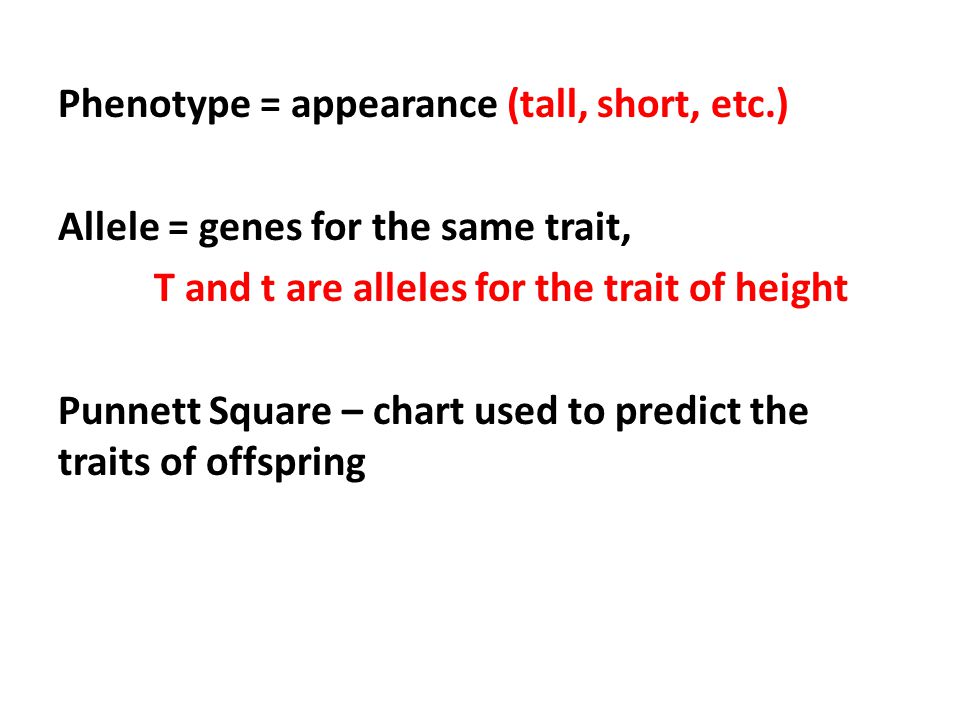 Phenotype = appearance (tall, short, etc