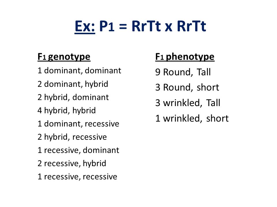 Ex: P1 = RrTt x RrTt F1 genotype