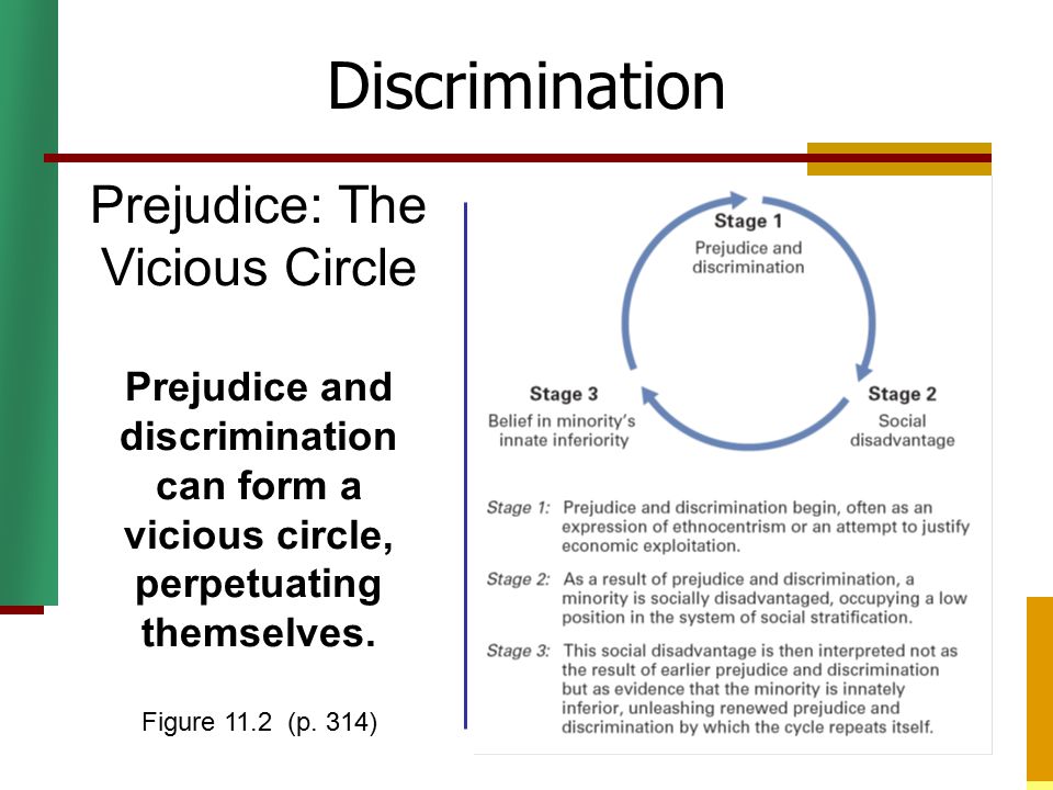Prejudice: The Vicious Circle