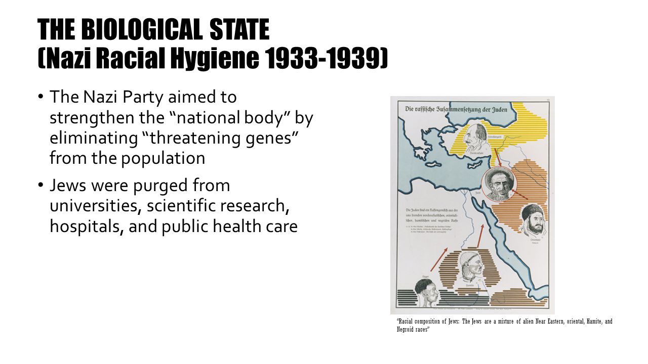 THE BIOLOGICAL STATE (Nazi Racial Hygiene )