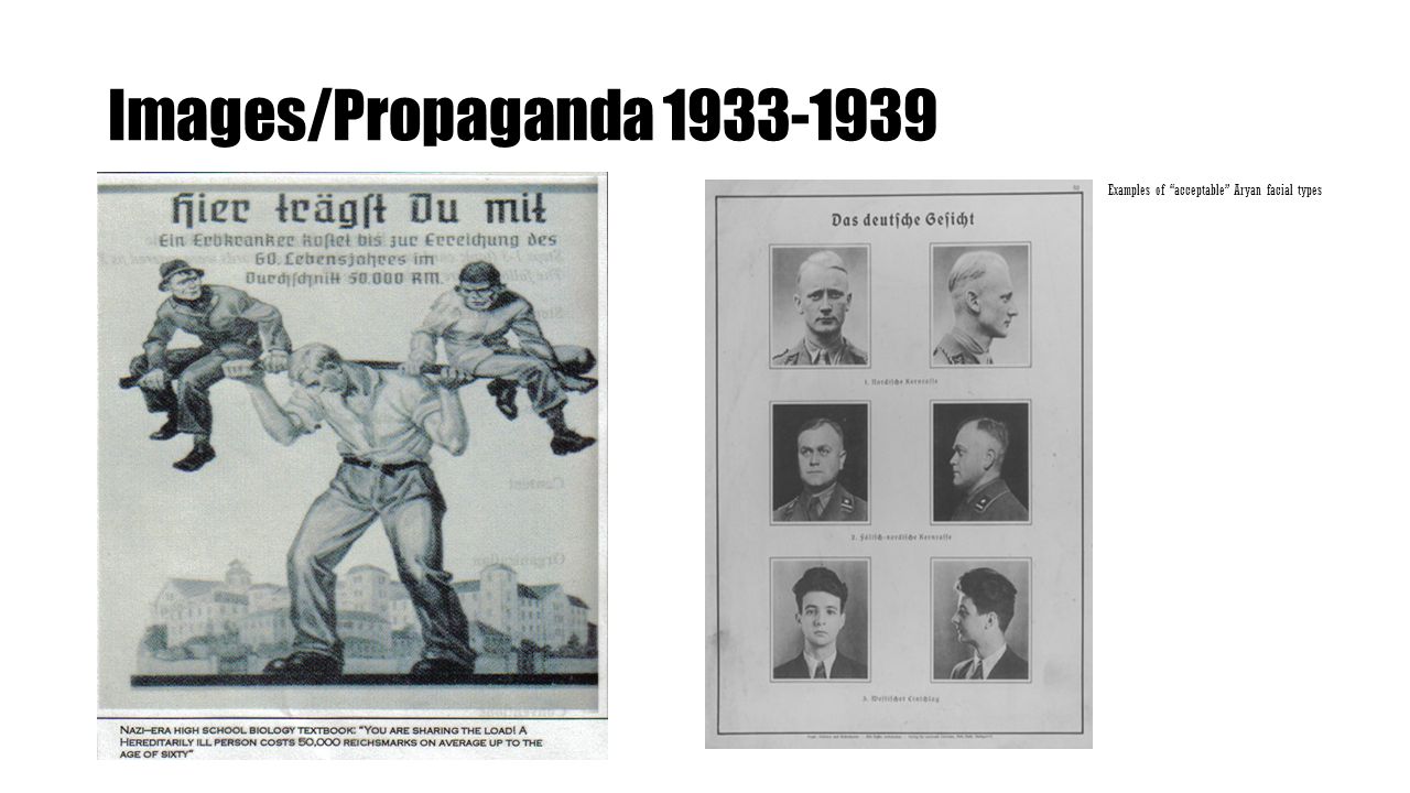 Images/Propaganda Examples of acceptable Aryan facial types