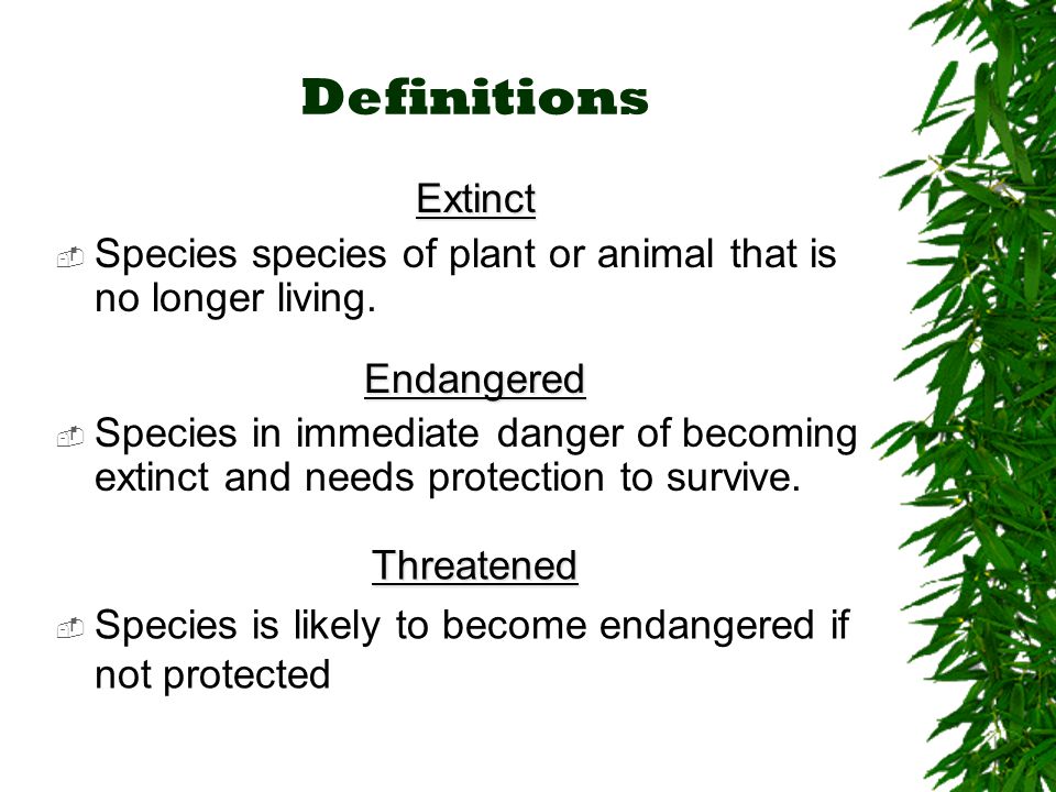 Endangered Means There's Still Time. - ppt video online download