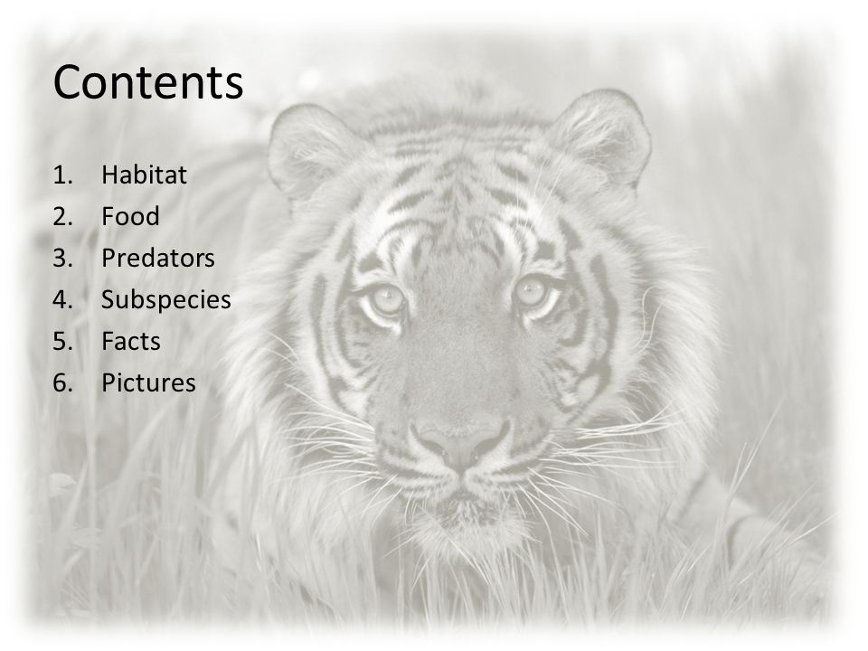 Contents Habitat Food Predators Subspecies Facts Pictures