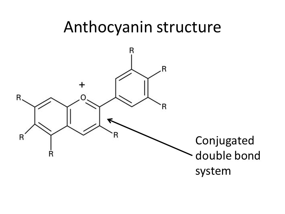 Anthocyanin structure