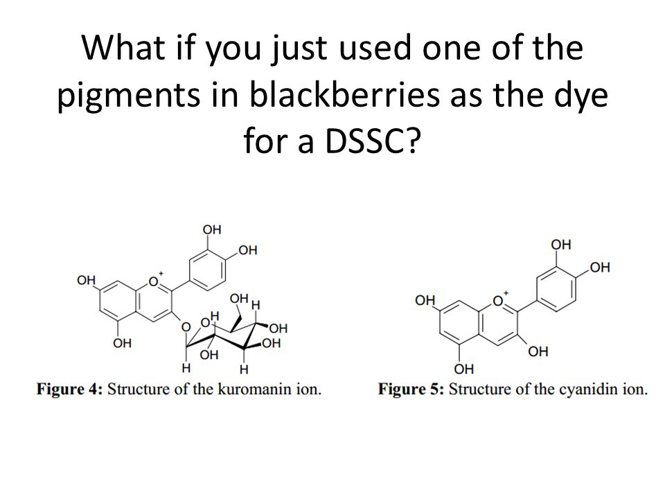 What if you just used one of the pigments in blackberries as the dye for a DSSC