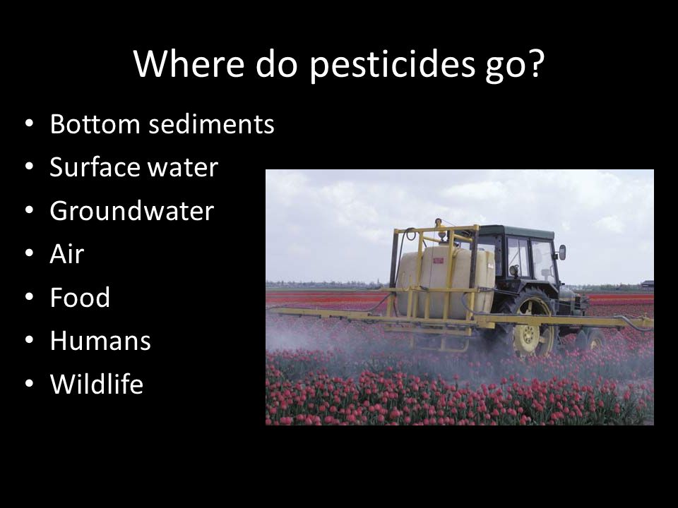 Where do pesticides go Bottom sediments Surface water Groundwater Air