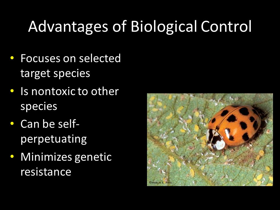 Advantages of Biological Control