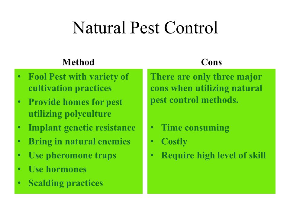 Charlotte county Pest Control Bug Off Pest